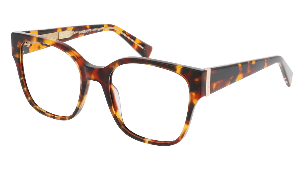 MNG587320TORTOISE
